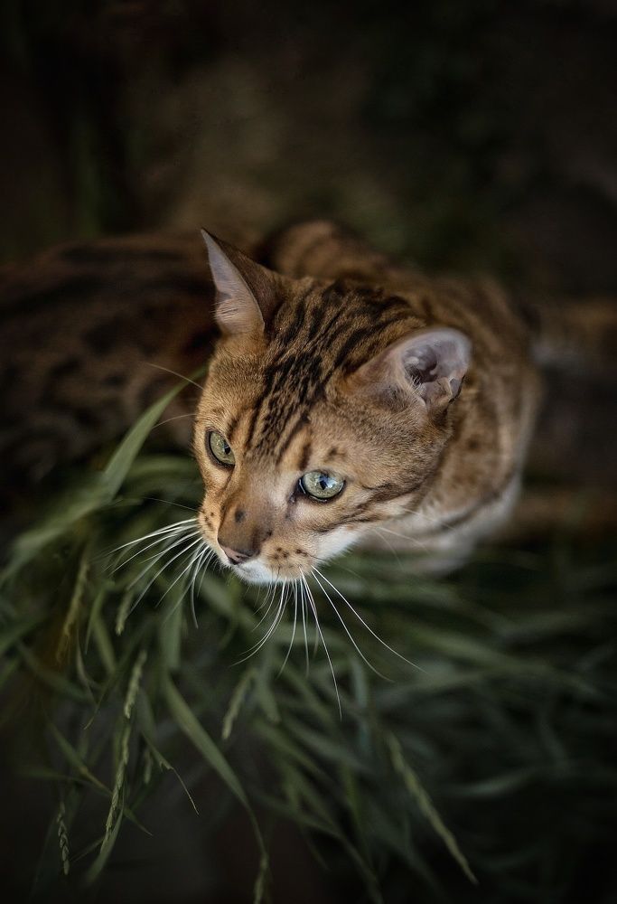 Photograph by Людмила Потапочкина