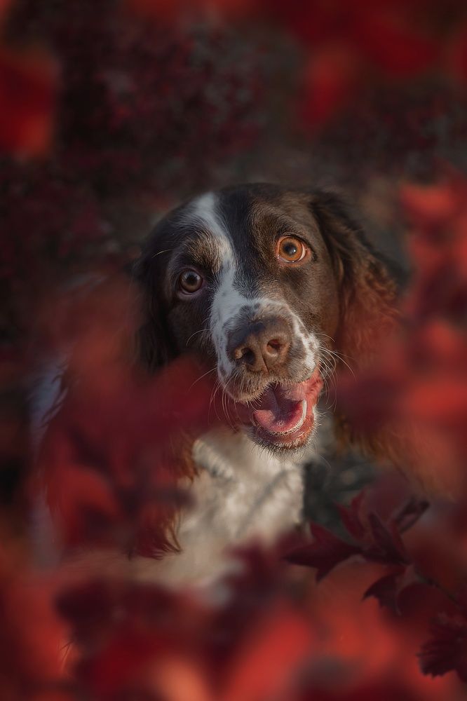 Photograph by Людмила Потапочкина