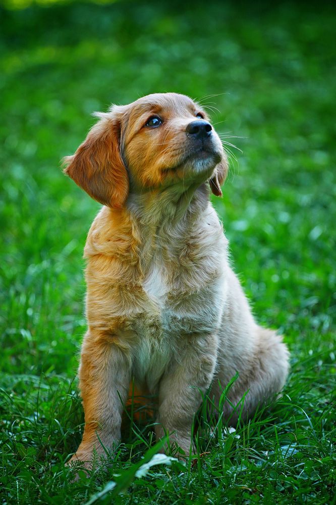 Photograph by Adrian Eperjessy