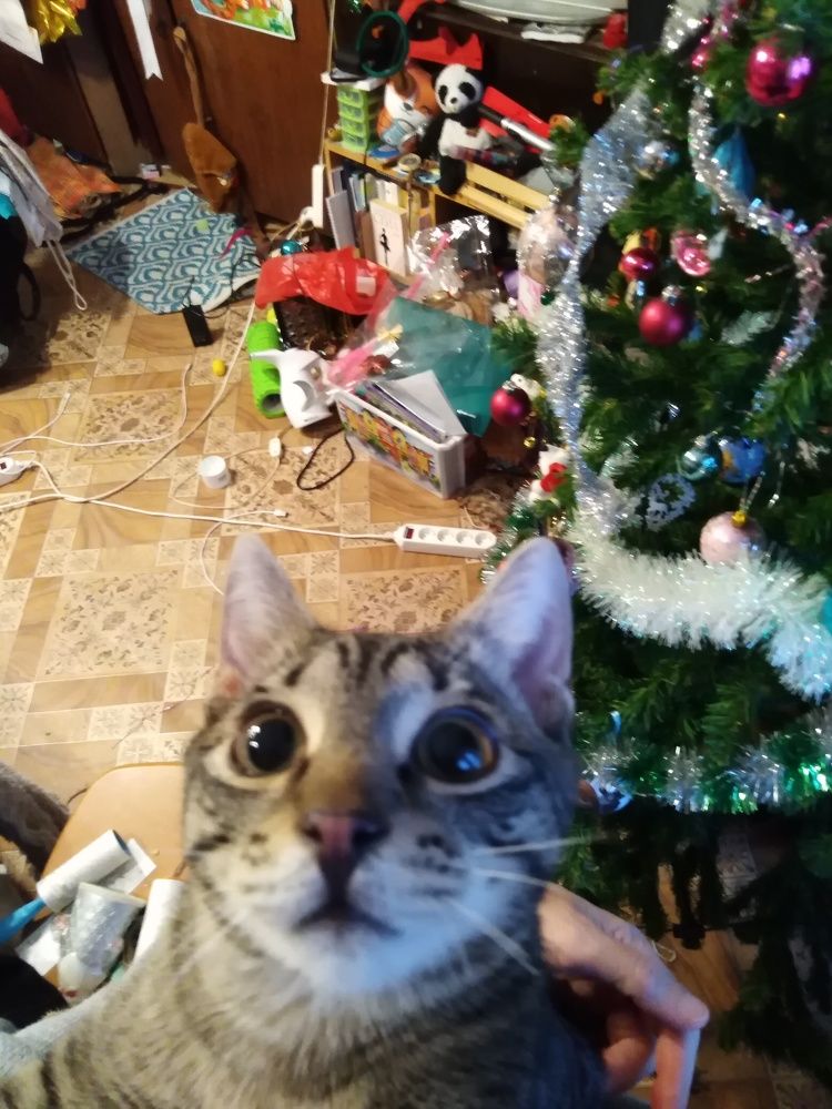 Photograph by Елена Малкова