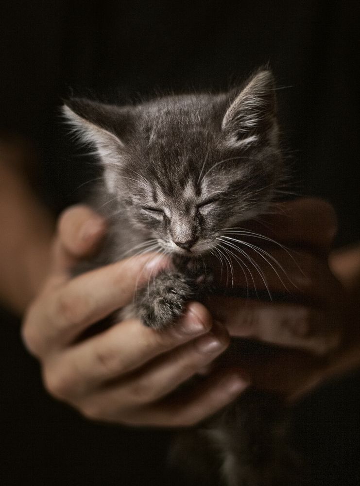 Photograph by Екатерина Запоздаева