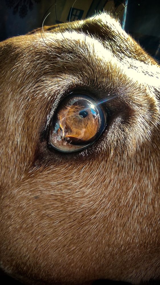 Photograph by Евгения Калугина