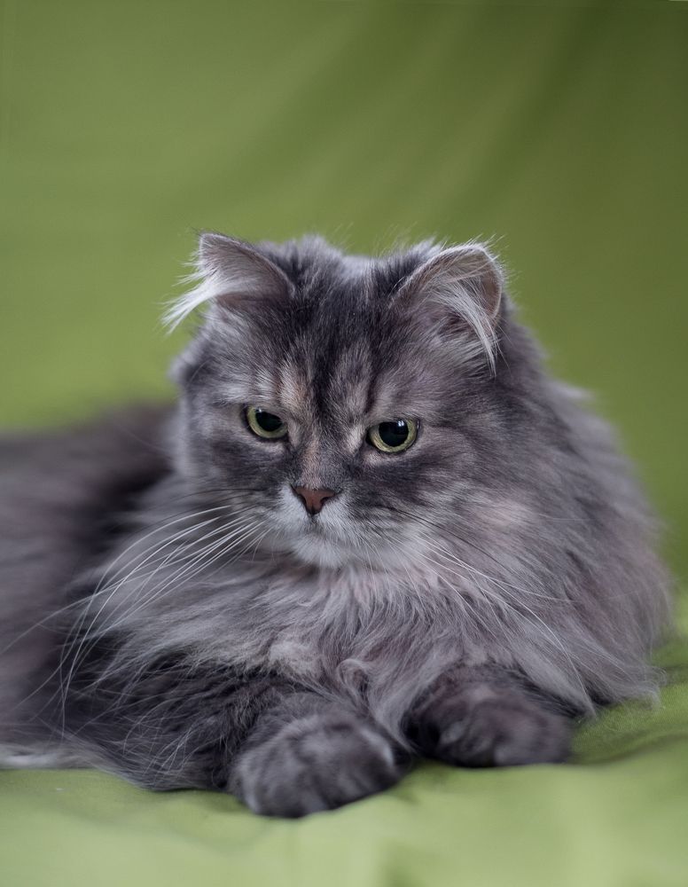 Photograph by Светлана Михеева