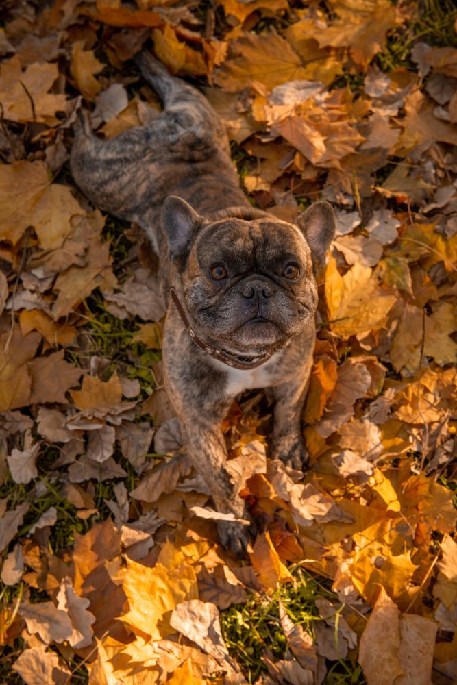 Photograph by Алиса Никитина