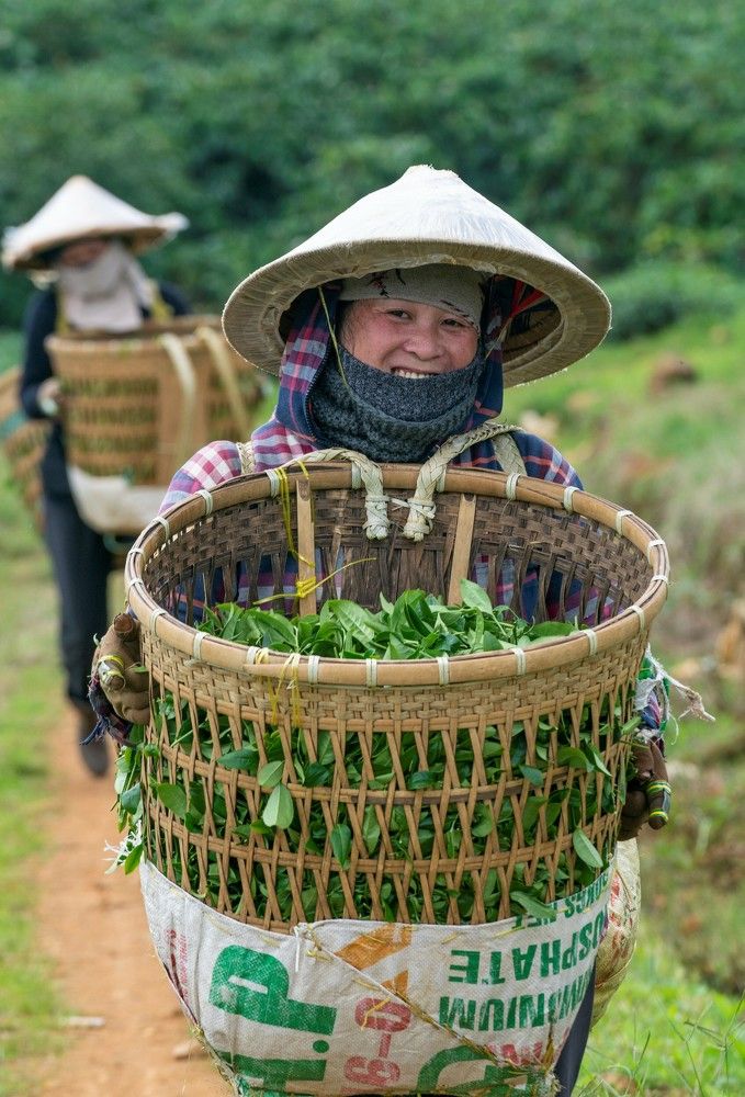 Photograph by Quân Nguyễn
