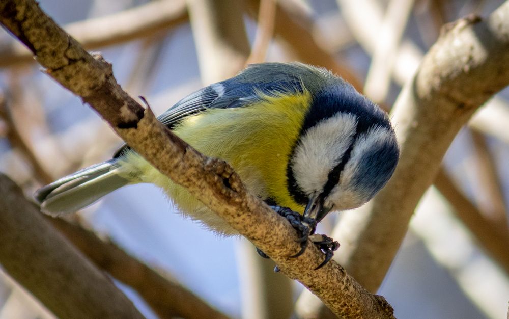 Photograph by Евгений Еськов