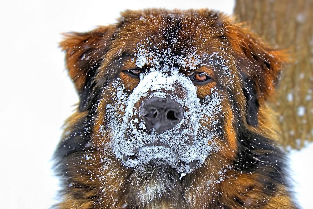 Photograph by Art Bisschop