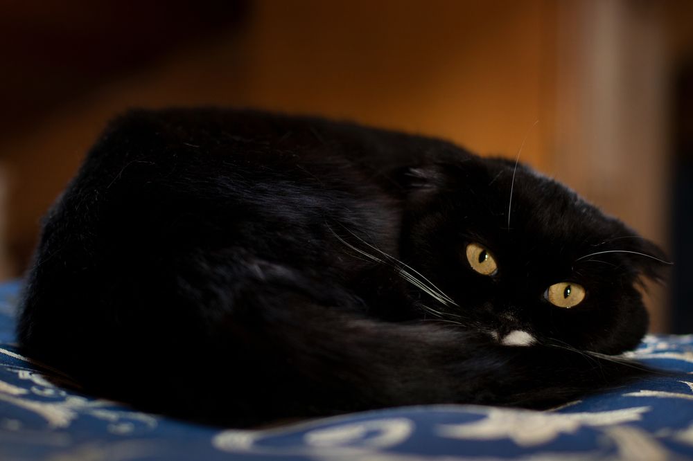 Таинственная Гуля