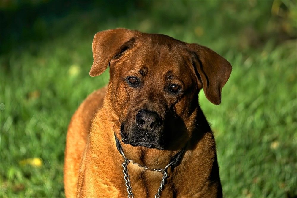 Photograph by Art Bisschop