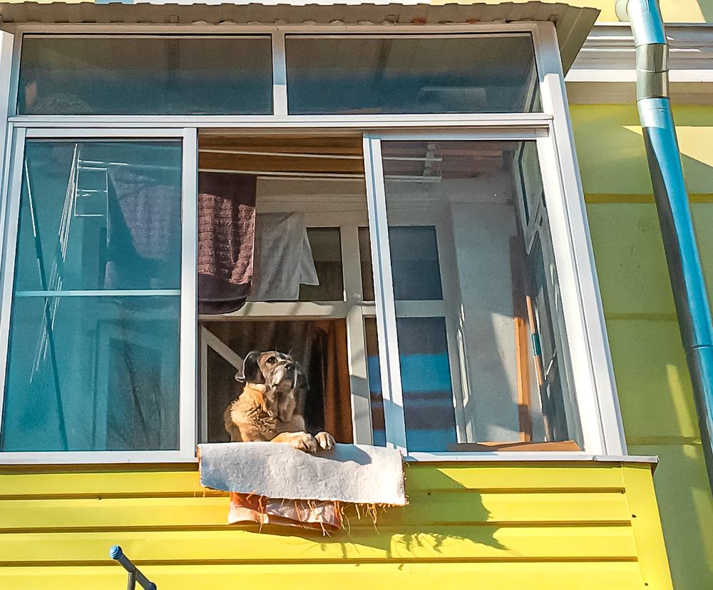 В ожидании весны