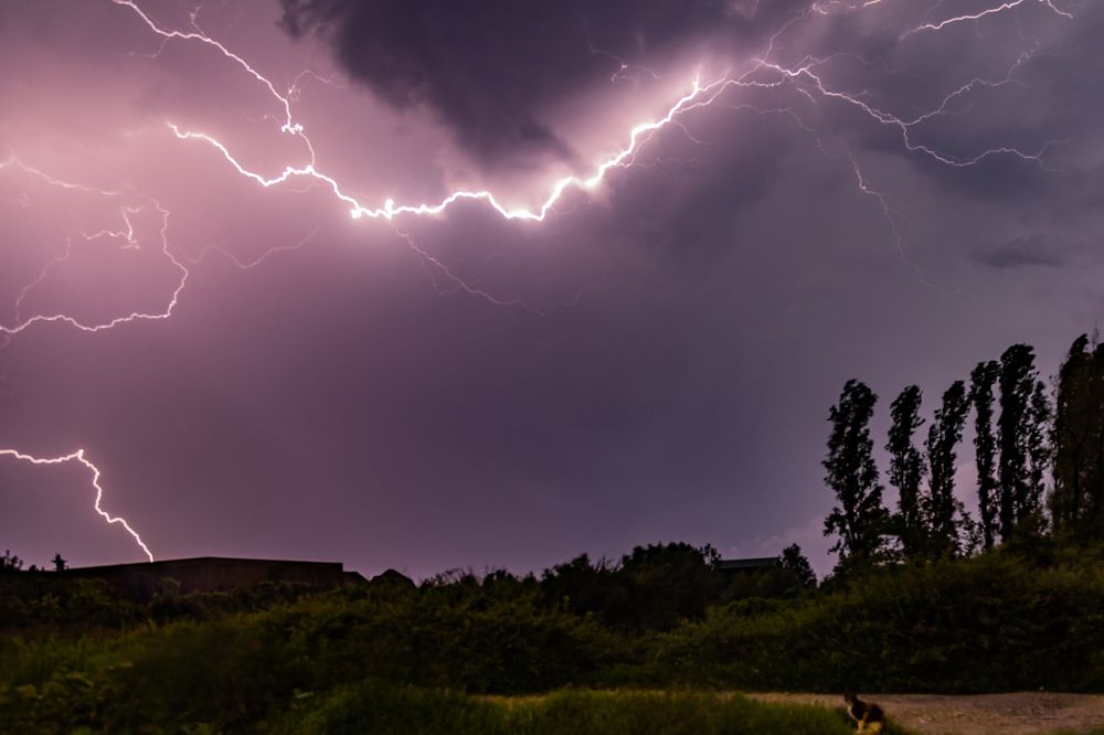 Photograph by Евдокия Камагина