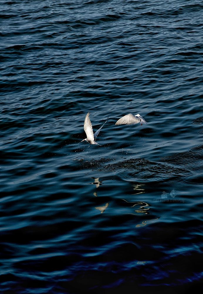 Фотография автора Tính Nguyễn