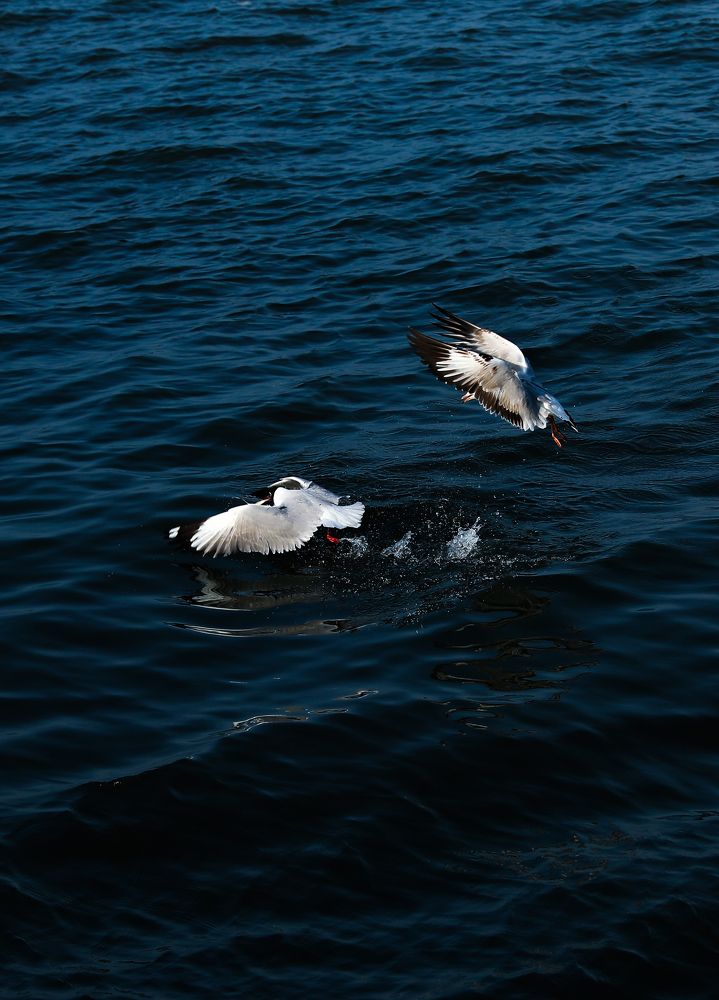 Фотография автора Tính Nguyễn