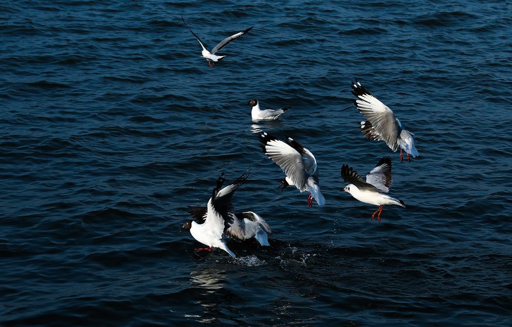 Фотография автора Tính Nguyễn