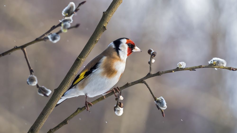 Photograph by Олег Колмаков