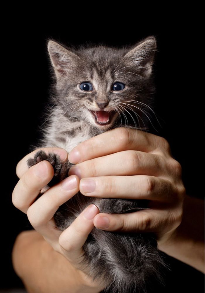 Photograph by Екатерина Запоздаева