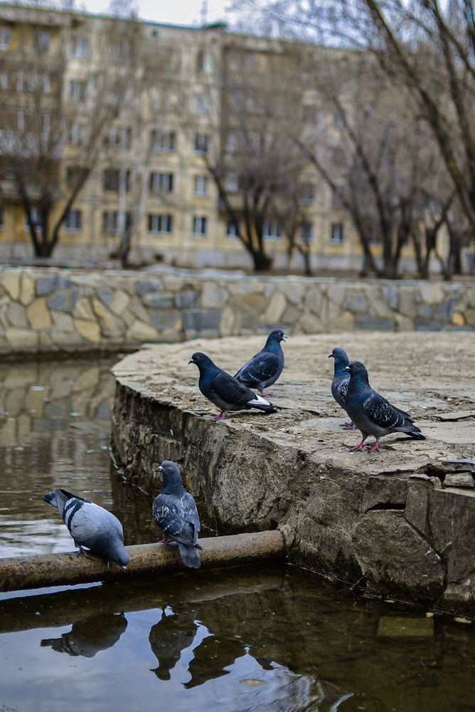 Photograph by Anna Borodina