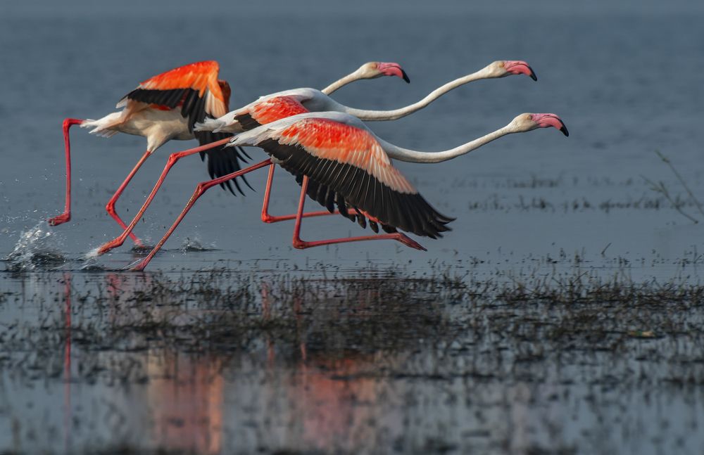 Photograph by Souvick Mukherjee