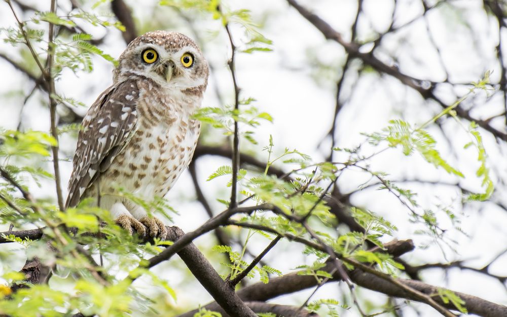 Photograph by Souvick Mukherjee
