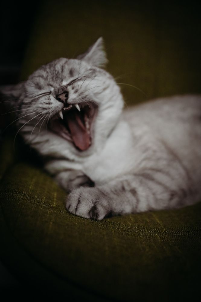 Photograph by Margarita Seredjuk