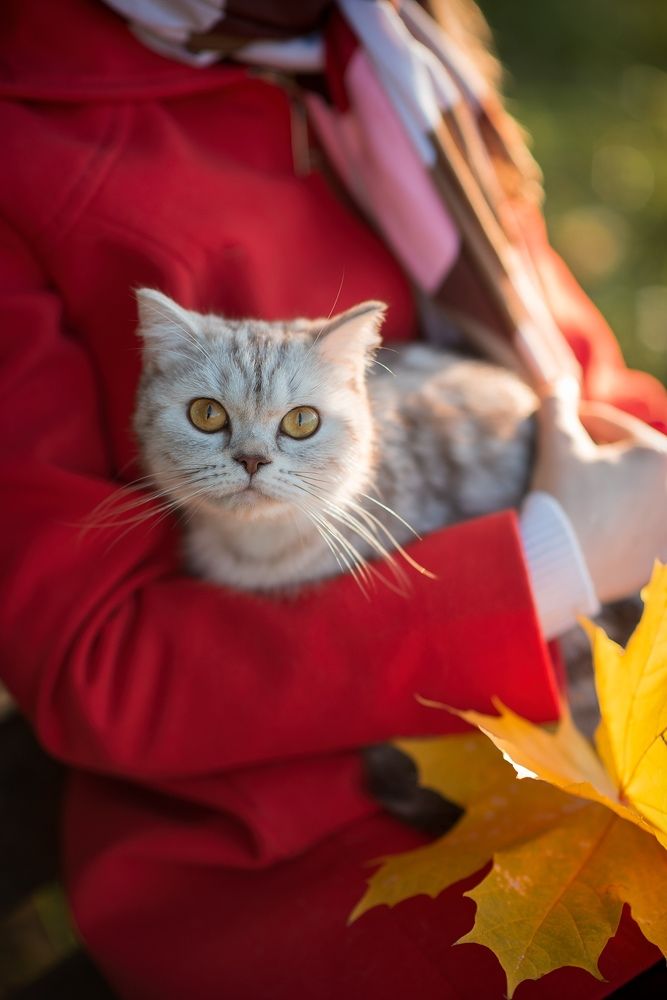 Photograph by Ksenia Elukova