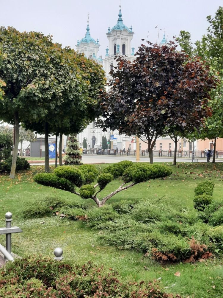 Photograph by Ириша Гайдель