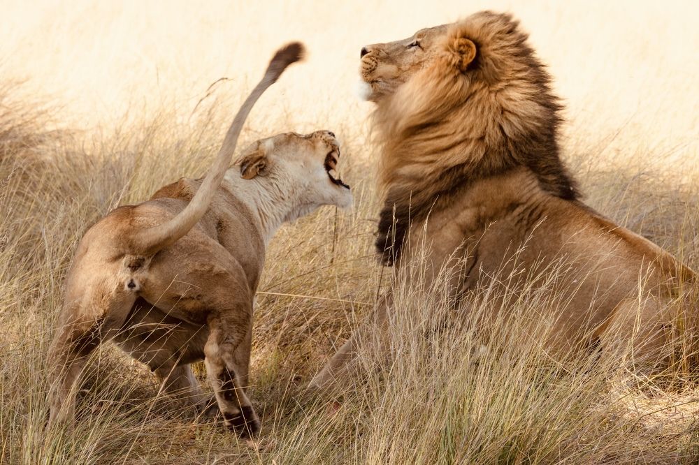 Photograph by Raquel Barao