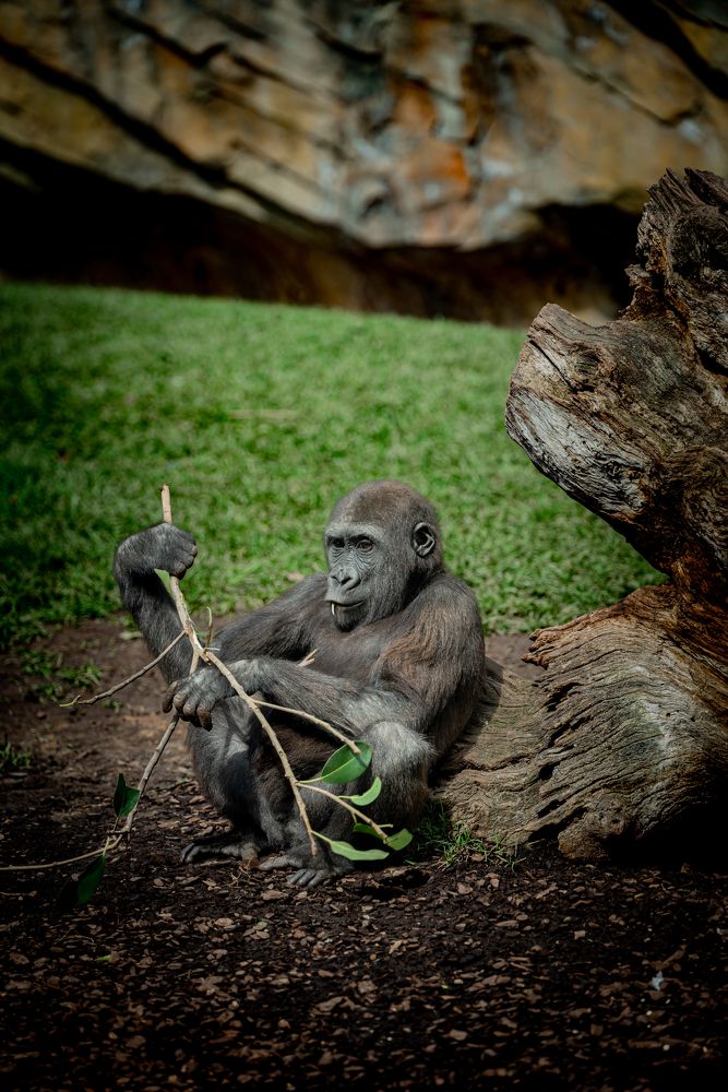 Photograph by Claudiu Chilom