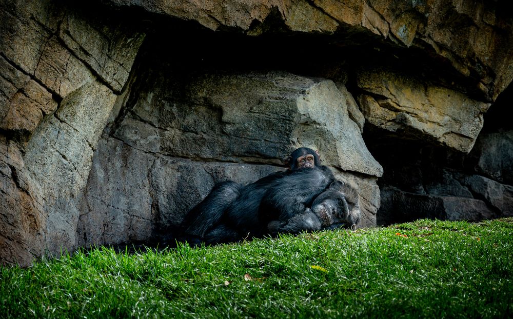 Photograph by Claudiu Chilom