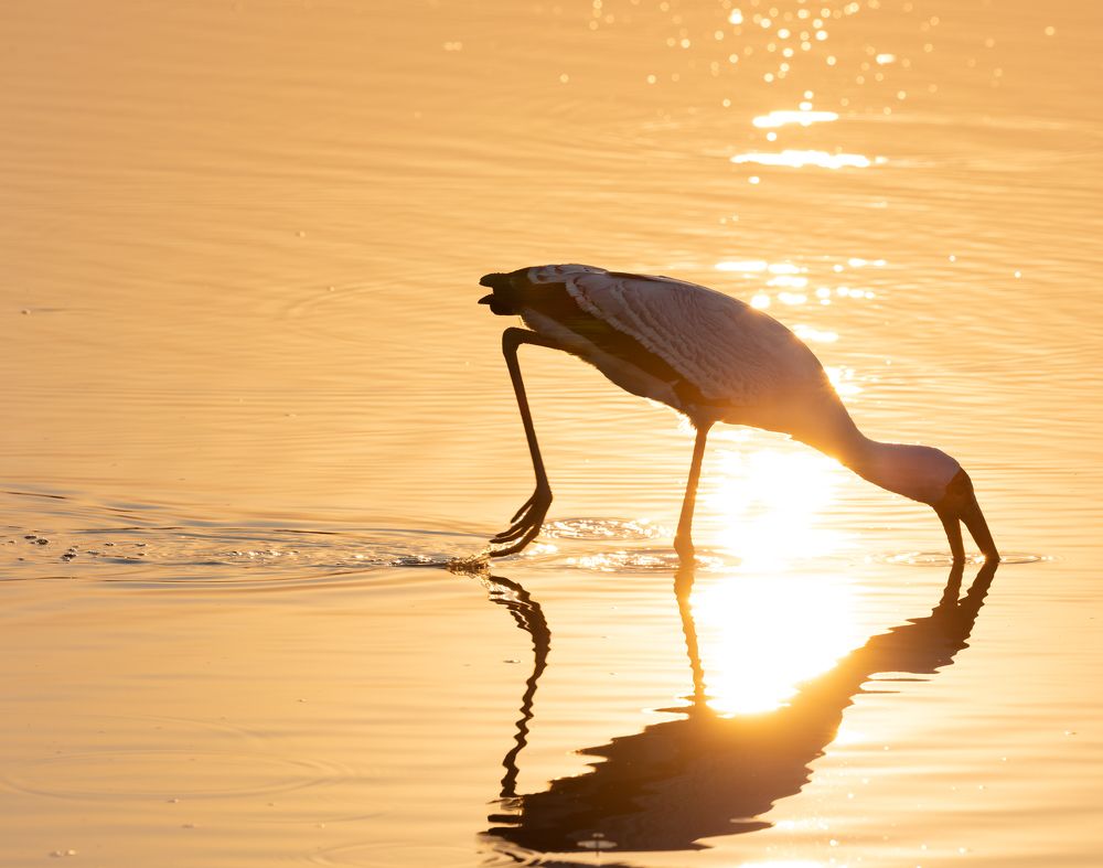 Photograph by Raquel Barao