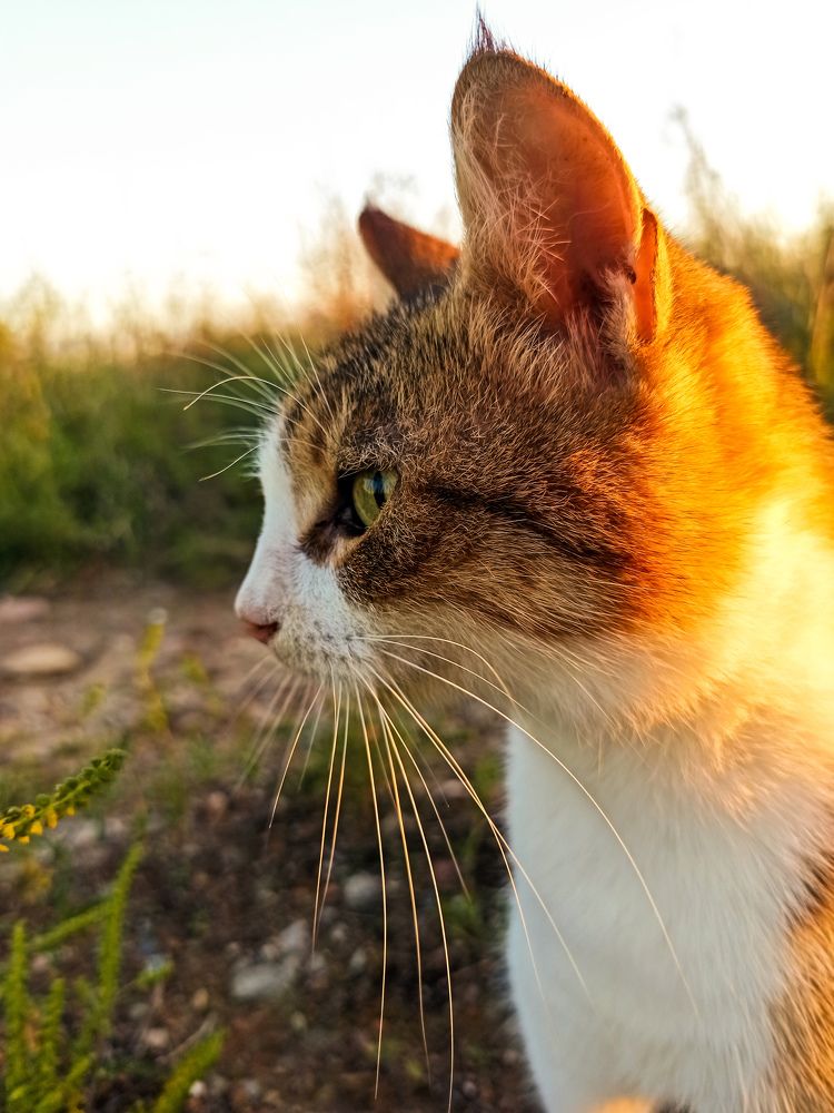 Photograph by Татьяна Долгушева