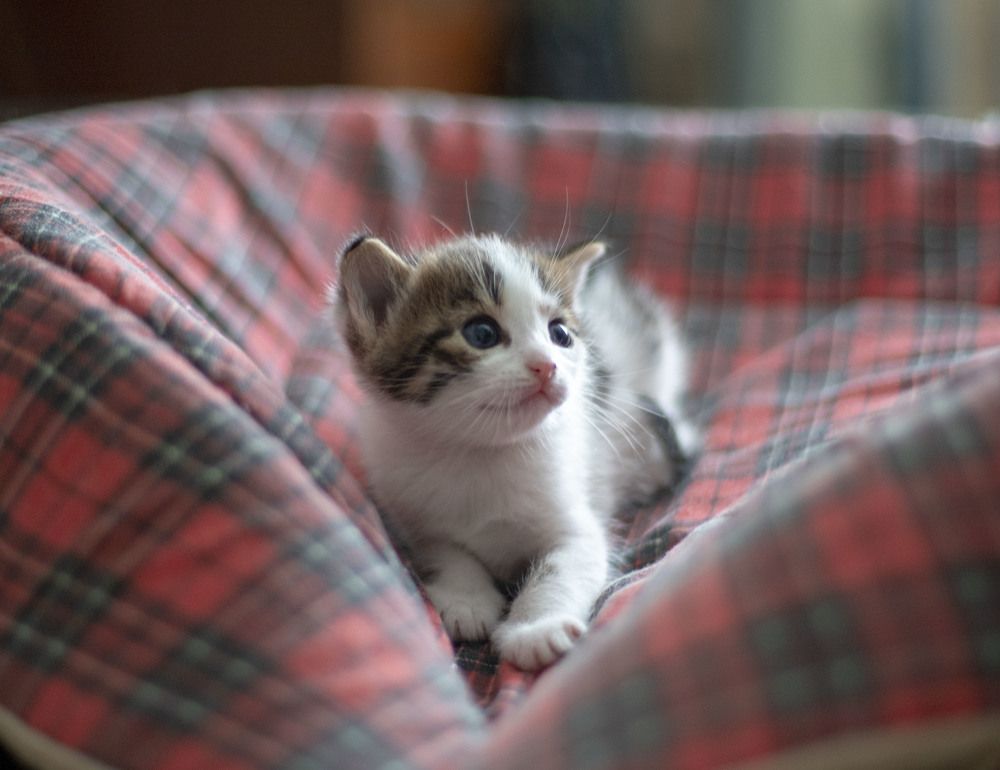 Photograph by Elena Kostochkina