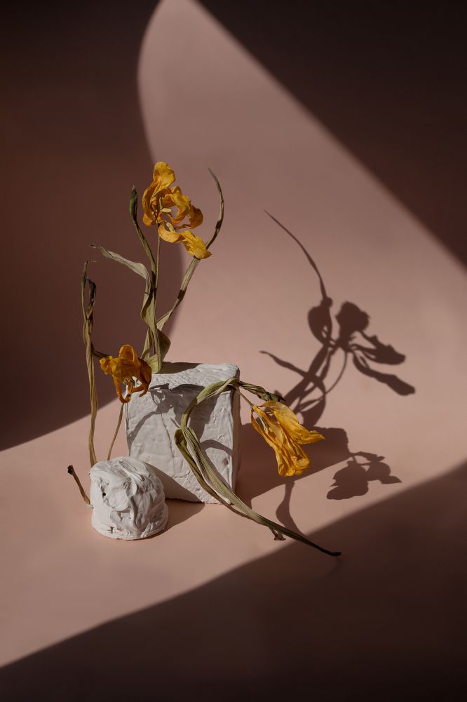 Фотография автора Светлана Бобошина