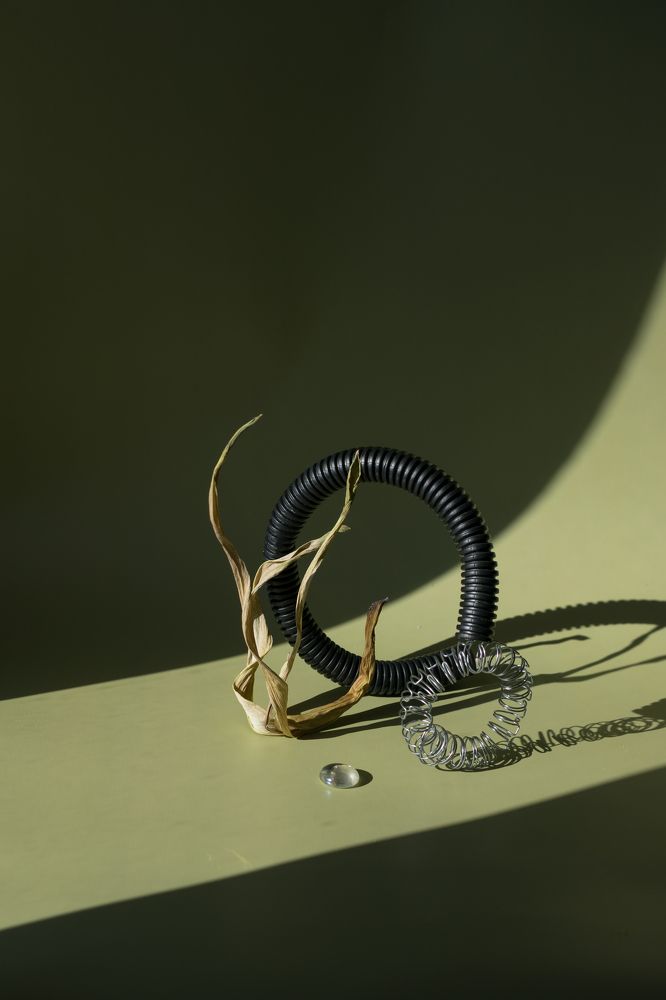 Фотография автора Светлана Бобошина