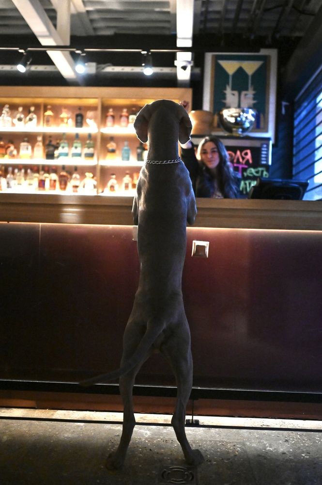 Апероль есть?