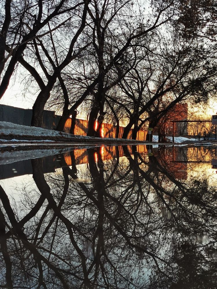 Фотография автора Юлия Есина