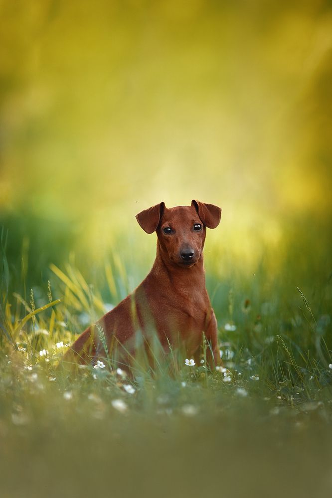 Photograph by Лера Васильчева