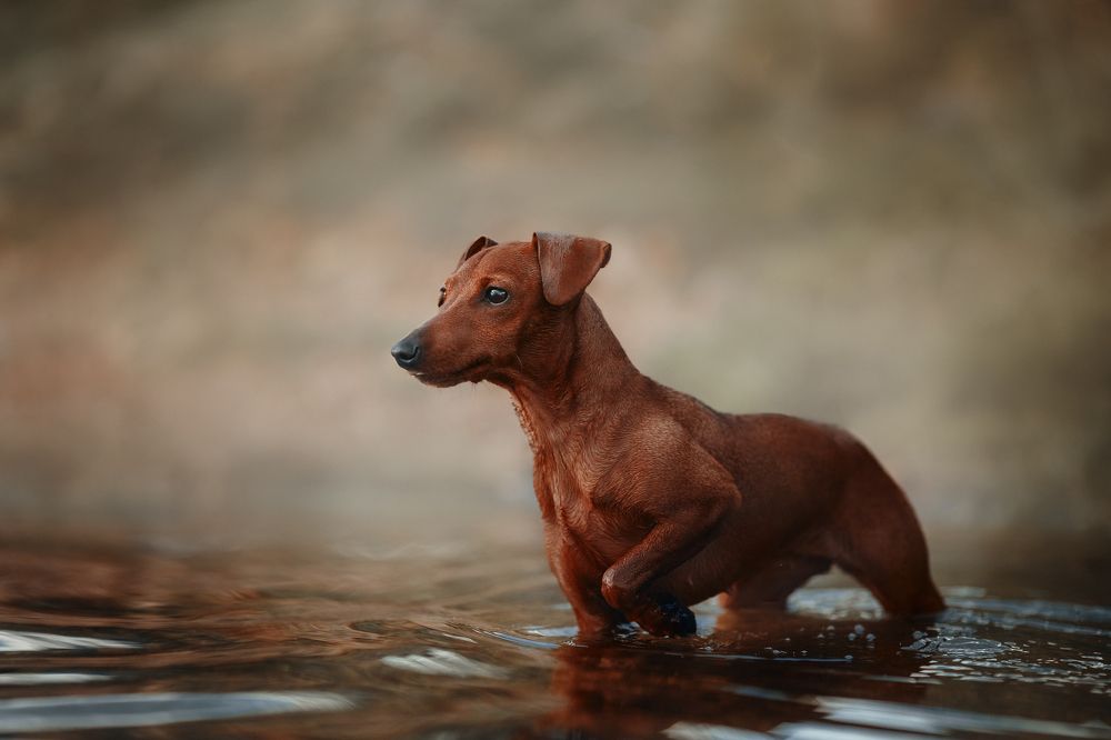 Photograph by Лера Васильчева