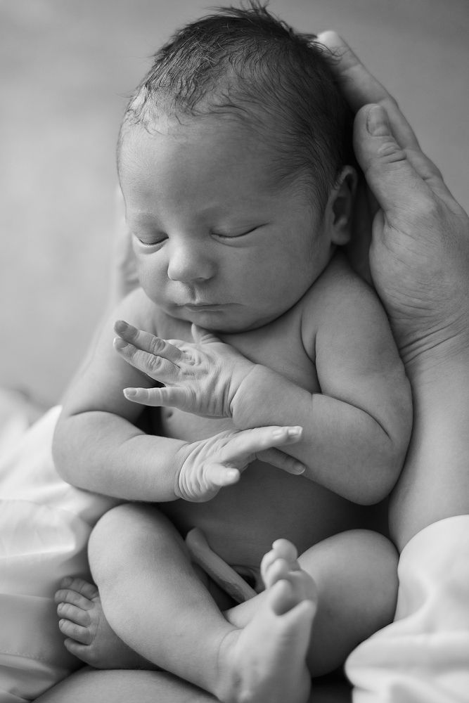 Фотография автора Лариса Аксёнова