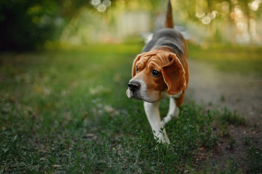 Photograph by Лера Васильчева