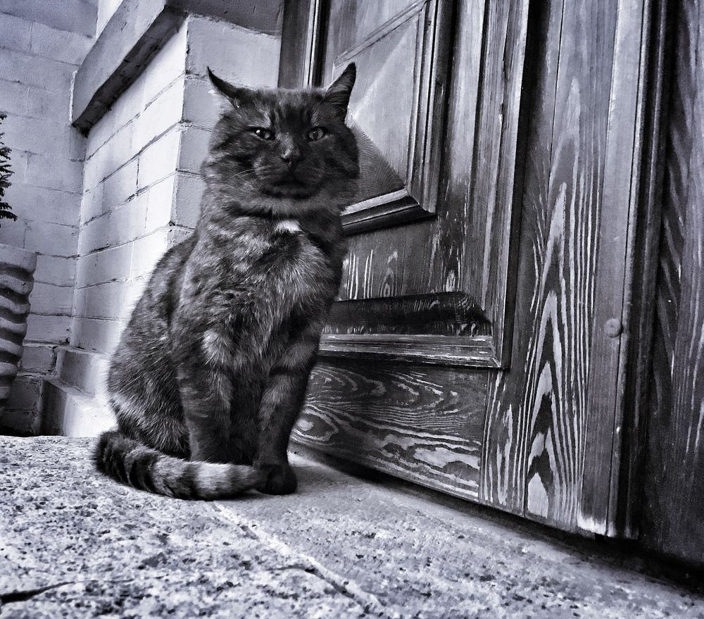 Photograph by Данил Исхаков