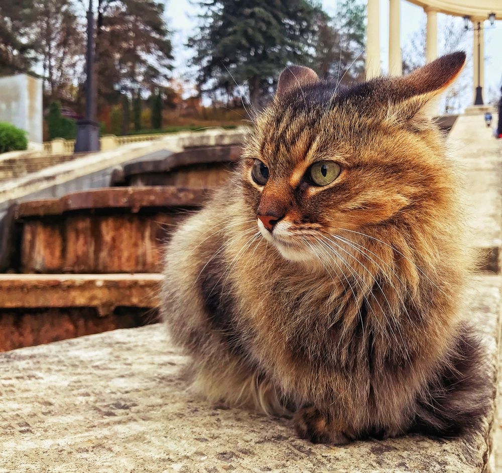 Photograph by Данил Исхаков