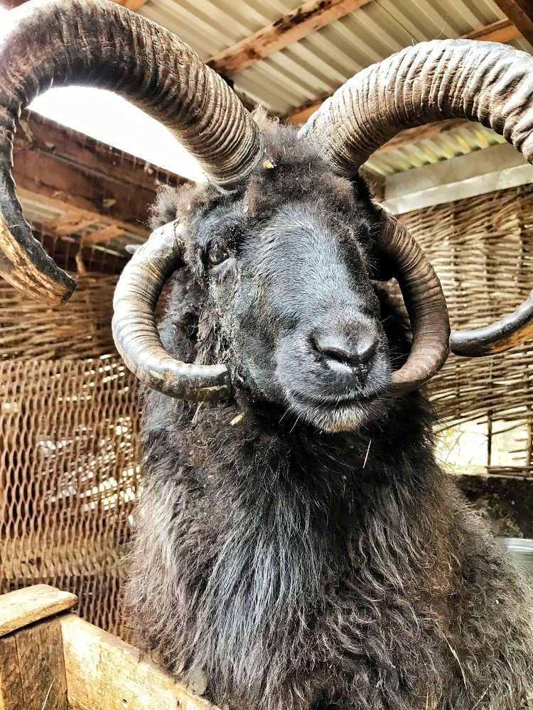 Photograph by Данил Исхаков