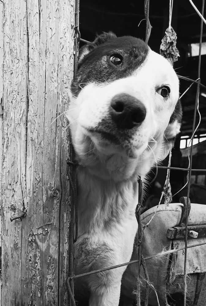 Photograph by Татьяна Долгушева