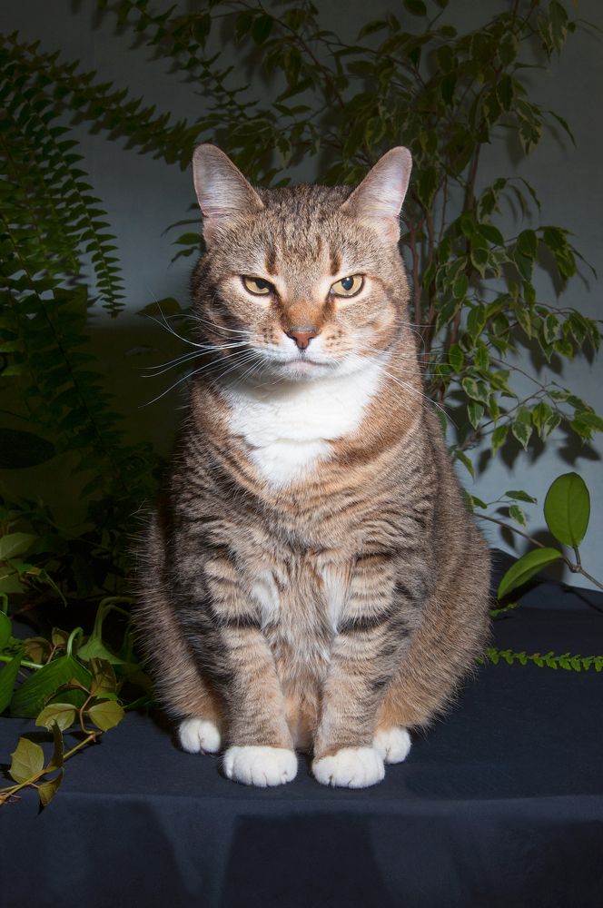 Photograph by Логинова Светлана