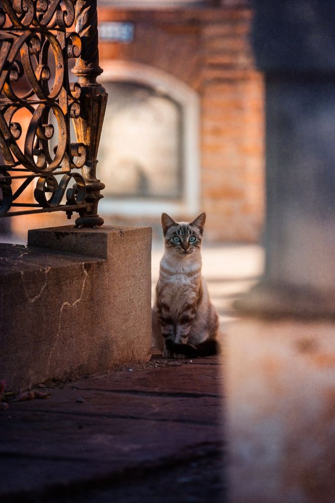 Photograph by Анастасия Голубева