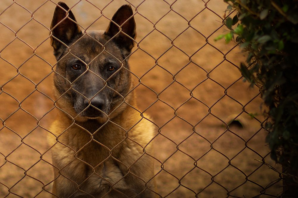 Photograph by Marcia Camargo