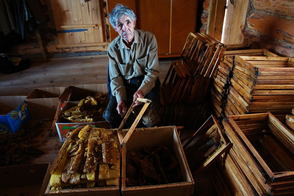 Photograph by Александр Мовчан