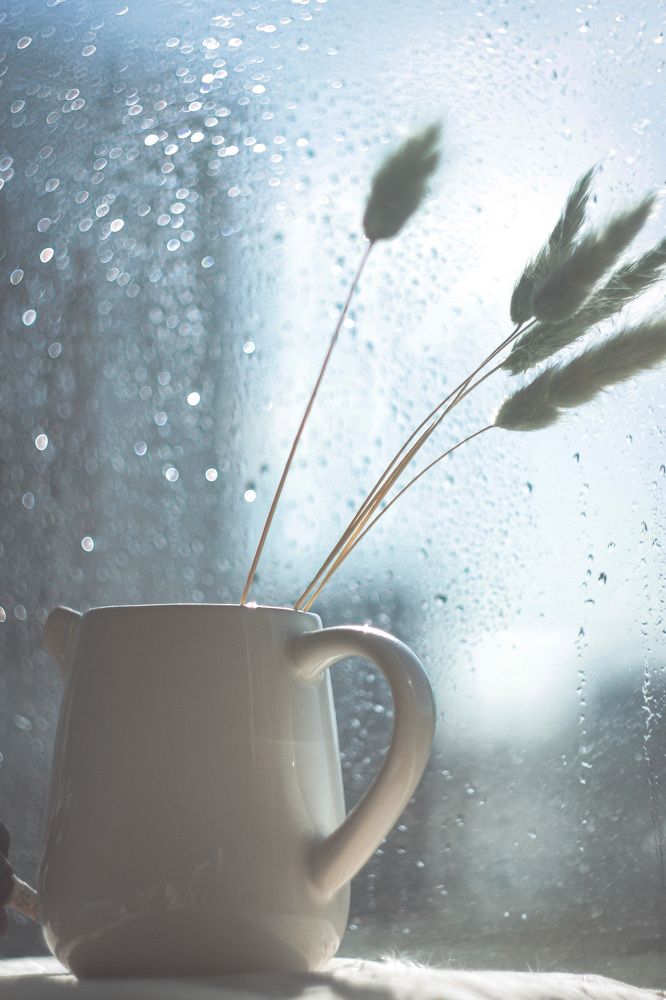 Photograph by Екатерина Нефедова