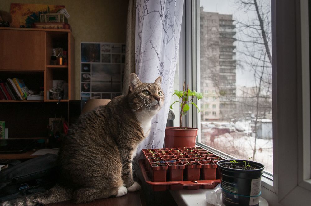 Photograph by Логинова Светлана